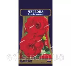 Бегонія махрова Червона F1 10 насінин в оболонці, PREMIUM Бегонія махрова Червона F1 10 насінин в оболонці, PREMIUM