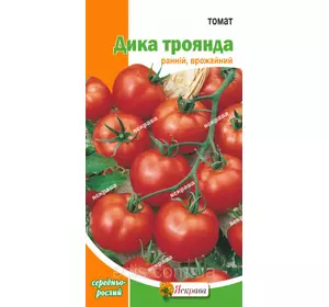 Томат Дика Троянда 0,1 г, насіння Яскрава Томат Дика Троянда 0,1 г, насіння Яскрава