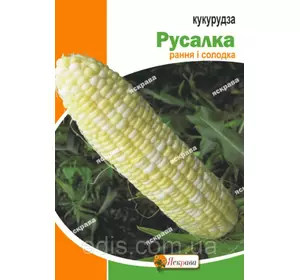 Кукуруза Русалка 20 г, насіння Яскрава Кукуруза Русалка 20 г, насіння Яскрава