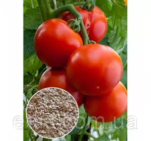 Томат Дар Заволжжя 0,1 г, насіння Яскрава Томат Дар Заволжжя 0,1 г, насіння Яскрава