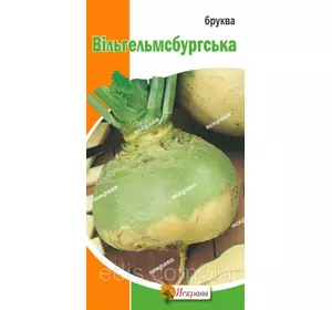Бруква Вільгельмсбургська 1 г насіння Яскрава Бруква Вільгельмсбургська 1 г насіння Яскрава