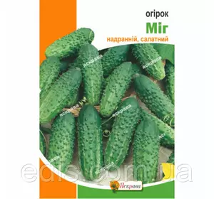 Огірок Міг 5 г, насіння Яскрава Огірок Міг 5 г, насіння Яскрава