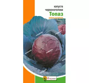 Капуста червоноголова Топаз 0,5 г, насіння Яскрава Капуста червоноголова Топаз 0,5 г, насіння Яскрава