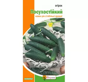 Огірок Посухостійкий 1 г, насіння Яскрава Огірок Посухостійкий 1 г, насіння Яскрава