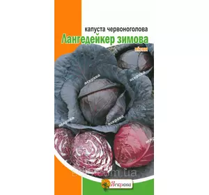 Капуста червоноголова Лангедейкер 0,5 г, насіння Яскрава Капуста червоноголова Лангедейкер 0,5 г, насіння Яскрава