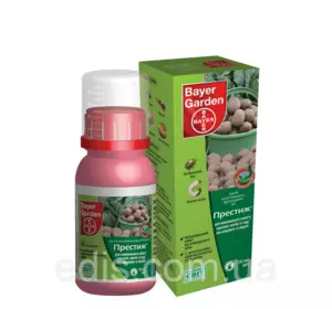 Сакура Аманогава (Amonogawa) в контейнере Сакура Аманогава (Amonogawa) в контейнере