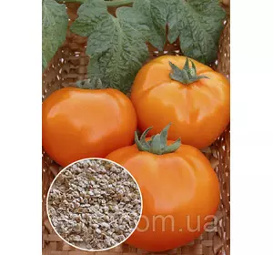 Томат Хурма 20 г , насіння Яскрава Томат Хурма 20 г , насіння Яскрава