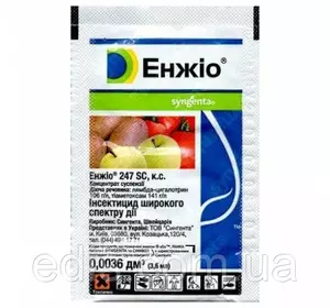 Енжіо 3,6 мл інсектицид контактно-системний широкого спектру дії Енжіо 3,6 мл інсектицид контактно-системний широкого спектру дії