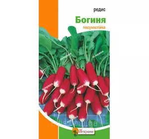 Редис Богиня 3 г, насіння Яскрава Редис Богиня 3 г, насіння Яскрава