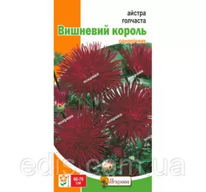 Айстра голчаста Вишневий король, 0,3 г насіння Яскрава Айстра голчаста Вишневий король, 0,3 г насіння Яскрава