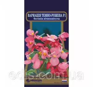 Бегонія вечноцветущая Варіація Темно-рожева F1 10 насінин в оболонці, Яскрава PREMIUM Бегонія вечноцветущая Варіація Темно-рожева F1 10 насінин в оболонці, Яскрава PREMIUM