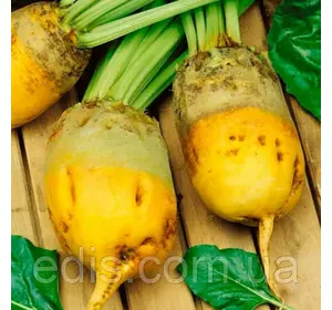 Буряк кормовий Екендорфський жовтий 900 г, насіння Яскрава Буряк кормовий Екендорфський жовтий 900 г, насіння Яскрава