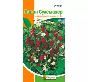 Суниця Барон Сулемахер 0,1 г, насіння Яскрава Суниця Барон Сулемахер 0,1 г, насіння Яскрава