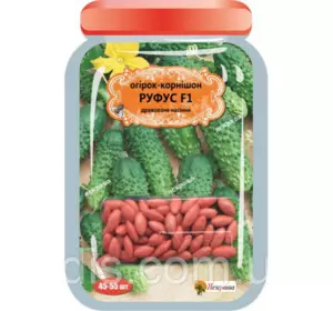Огірок корнішон Руфус F1 (45-55 шт.) дражоване насіння Яскрава Огірок корнішон Руфус F1 (45-55 шт.) дражоване насіння Яскрава