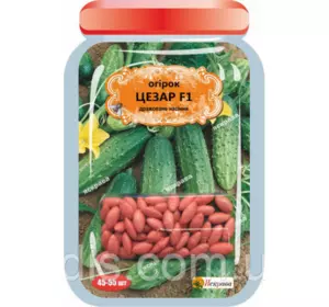 Огірок Цезар F1 (45-55 шт.) дражоване насіння Огірок Цезар F1 (45-55 шт.) дражоване насіння