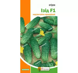 Огірок Ізід F1 0,5 г, насіння Яскрава Огірок Ізід F1 0,5 г, насіння Яскрава