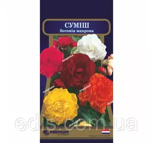 Бегонія махрова Суміш F1 10 насінин в оболонці, Яскрава PREMIUM Бегонія махрова Суміш F1 10 насінин в оболонці, Яскрава PREMIUM
