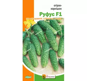 Огірок корнішон Руфус F1 0,5 г, насіння Яскрава Огірок корнішон Руфус F1 0,5 г, насіння Яскрава