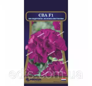 Пеларгонія зеленолистная Єва F1 5 насінин в оболонці, Яскрава PREMIUM Пеларгонія зеленолистная Єва F1 5 насінин в оболонці, Яскрава PREMIUM