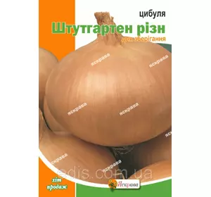 Цибуля Штутгартен Різн 8 г, насіння Яскрава Цибуля Штутгартен Різн 8 г, насіння Яскрава