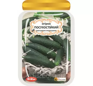 Огірок Посухостійкий (20-30 шт.) дражоване насіння Яскрава Огірок Посухостійкий (20-30 шт.) дражоване насіння Яскрава
