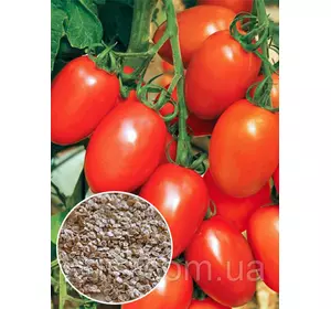 Томат Де-Барао Червоний 20 г, насіння Яскрава Томат Де-Барао Червоний 20 г, насіння Яскрава