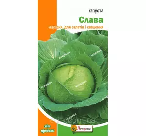 Капуста білоголова Слава 0,5 г, насіння Яскрава Капуста білоголова Слава 0,5 г, насіння Яскрава