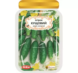 Огірок Кущовий (20-30 шт.) дражоване насіння Яскрава Огірок Кущовий (20-30 шт.) дражоване насіння Яскрава