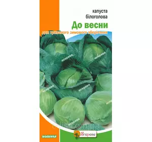 Капуста білоголова До весни 0,5 г, насіння Яскрава Капуста білоголова До весни 0,5 г, насіння Яскрава