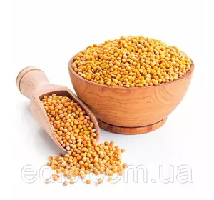 Гірчиця жовта (сидерат) 1кг, насіння Яскрава Гірчиця жовта (сидерат) 1кг, насіння Яскрава