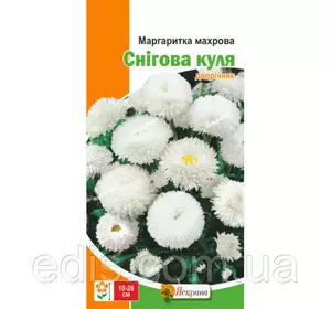 Маргаритка махрова Снігова куля 0,1 г Маргаритка махрова Снігова куля 0,1 г