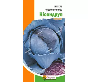 Капуста червоноголова Кісендруп 0,5 г, насіння Яскрава Капуста червоноголова Кісендруп 0,5 г, насіння Яскрава