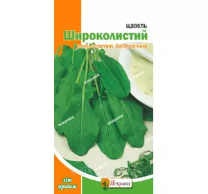 Щавель Широколистий 1 г, насіння Яскрава Щавель Широколистий 1 г, насіння Яскрава