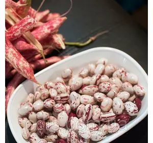 Квасоля Перлина 20 г (кущова) насіння Яскрава Квасоля Перлина 20 г (кущова) насіння Яскрава