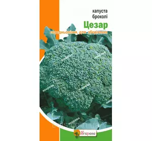 Капуста брокколі Цезар 0,5 г, насіння Яскрава Капуста брокколі Цезар 0,5 г, насіння Яскрава