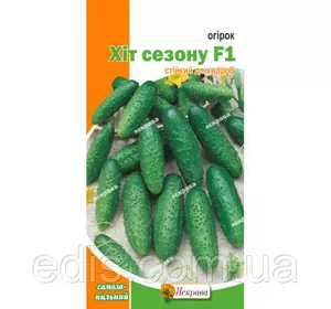 Огірок Хіт сезону F1 (букетний, самозапильний) F1 0,3 г, насіння Яскрава Огірок Хіт сезону F1 (букетний, самозапильний) F1 0,3 г, насіння Яскрава