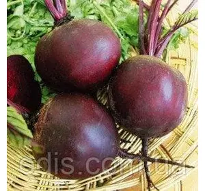 Буряк Бордо 20 г, насіння Яскрава Буряк Бордо 20 г, насіння Яскрава