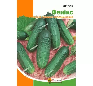 Огірок Фенікс плюс 10 г, насіння Яскрава Огірок Фенікс плюс 10 г, насіння Яскрава