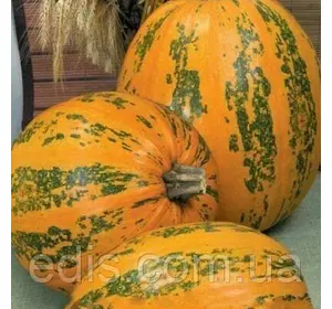 Гарбуз Український багатоплідний 2 г, насіння Яскрава Гарбуз Український багатоплідний 2 г, насіння Яскрава