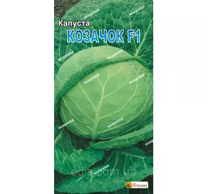 Капуста білоголова Казачок F1 0,5 г, насіння Яскрава Капуста білоголова Казачок F1 0,5 г, насіння Яскрава