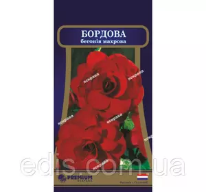 Бегонія махрова Бордова F1 10 насінин в оболонці, PREMIUM Бегонія махрова Бордова F1 10 насінин в оболонці, PREMIUM