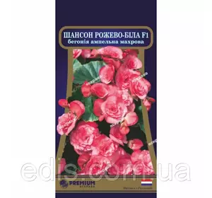 Бегонія ампельна махрова Шансон Рожево-біла F1 10 насінин в оболонці, Яскрава PREMIUM Бегонія ампельна махрова Шансон Рожево-біла F1 10 насінин в оболонці, Яскрава PREMIUM
