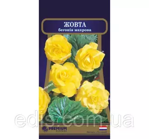 Бегонія махрова Жовта F1 10 насінин в оболонці, PREMIUM Бегонія махрова Жовта F1 10 насінин в оболонці, PREMIUM