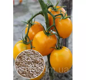 Томат Де-Барао Золотий 20 г, насіння Яскрава Томат Де-Барао Золотий 20 г, насіння Яскрава