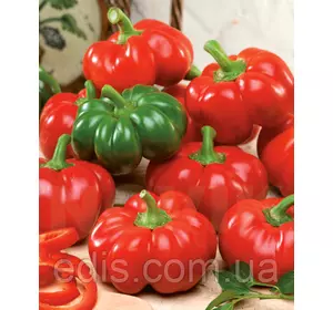 Перець Ратунда 0,3 г, насіння Яскрава Перець Ратунда 0,3 г, насіння Яскрава