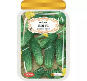 Огірок Ізід F1 (20-30 шт.) дражоване насіння Яскрава Огірок Ізід F1 (20-30 шт.) дражоване насіння Яскрава