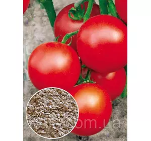 Томат Ефемер 20 г, насіння Яскрава Томат Ефемер 20 г, насіння Яскрава