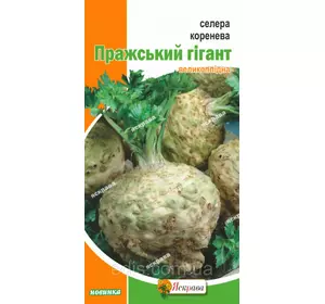 Селера коренева Празький Гігант 0,2 г, насіння Яскрава Селера коренева Празький Гігант 0,2 г, насіння Яскрава