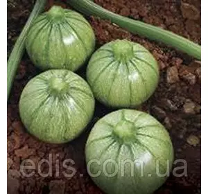 Кабачок круглий Колобок 3 г, насіння Яскрава Кабачок круглий Колобок 3 г, насіння Яскрава