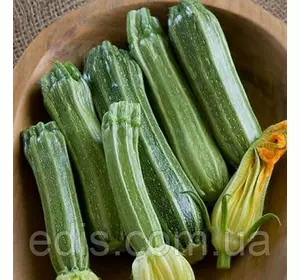 Кабачок Romanesco (Романеско), Італія, 3 г, насіння Яскрава Кабачок Romanesco (Романеско), Італія, 3 г, насіння Яскрава